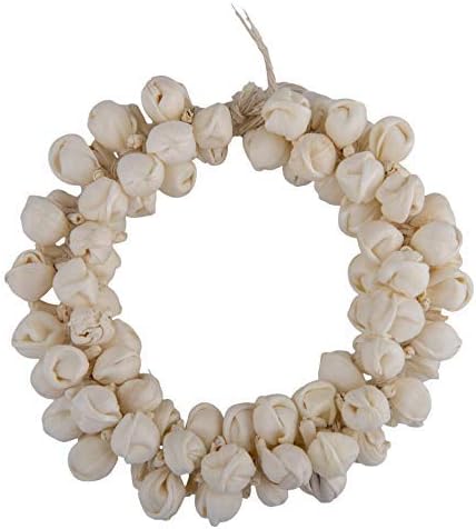 Aakarshana jewels Traditional Indian Look Hair Accessories Best Match For Bollywood Dance Looks Like Natural Flowers Party Accessories for Weddings Proms Parties or Other Occassions