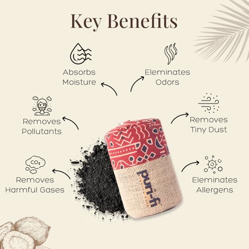Image of Activated Charcoal Air Purifier, Non-Electric, Coconut Shell Charcoal, Odor & Moisture Absorber, Air Freshener for Home, Car, Reusable & Long-Lasting, 250 Gm (Rustic Red)