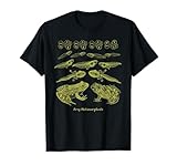 Life Cycle of a Frog Merch