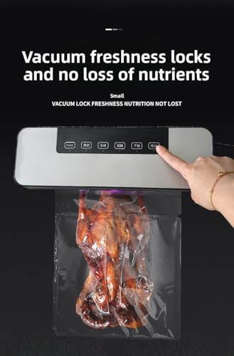 Machine à emballer sous vide à affichage numérique et rapide - 3