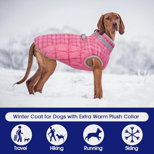 Image of FUAMEY Dog Winter Coat Fleece Warm Medium Dog Coat with Harness Built in
