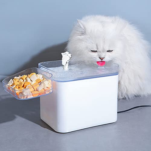 Fuente de agua automática 2 en 1 para gatos y perros miniatura 7