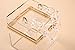 Cute Clear Acrylic Plastic Neon Hard Frame Party Clutch Purse with Gold Chain Strap (Transparent)