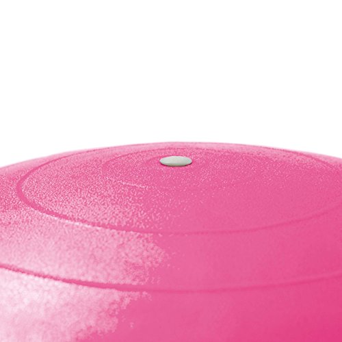 ScSPORTS, Palla Ginnica 65 cm con Pompa, Rosa