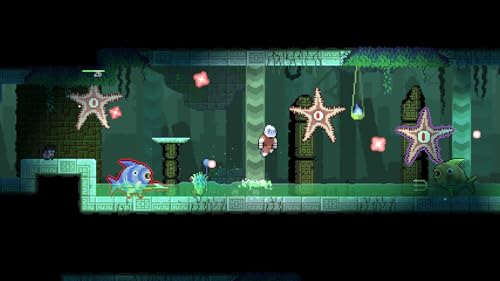 Dunjungle Premium Edition Nintendo - vue 8