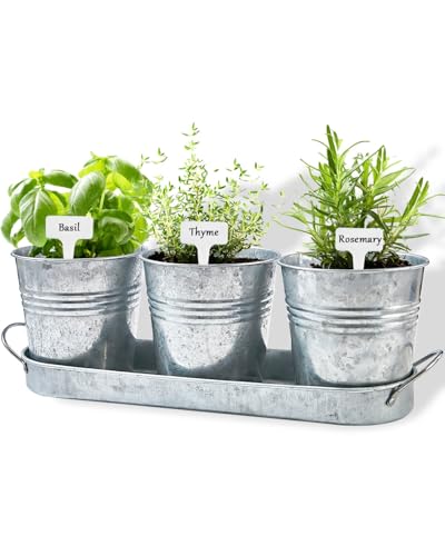 vensovo Indoor Herb Planter Set - Galvanized Windowsill Garden Pots with Tray & Drainage, Set of 3 Metal Window Planters for Kitchen & Outdoor Use, Silver
