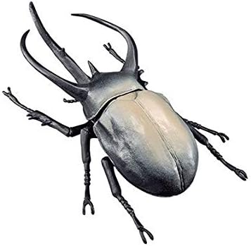 Amazon ビッグサイズ 世界の昆虫 パート2 3 コーカサスオオカブトa 彩色あり 単品 フィギュア ドール 通販 Amazon ビッグサイズ 世界の昆虫 パート2 3 コーカサスオオカブトa 彩色あり 単品 フィギュア ドール 通販