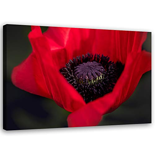 Tableau sur toile XXL fleur rouge | Décoration murale élégante 100x70 cm