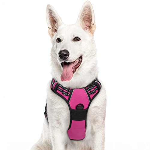 Image of Eagloo Dog Harness for Large Dogs, No Pull Pet Vest with 2 Leash Clips