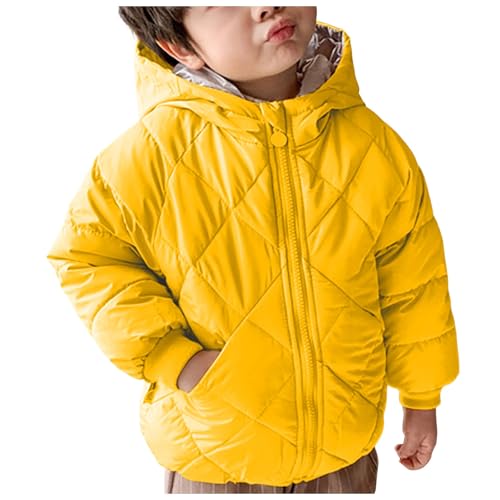 STARDOM スターダム フライトジャケット MA-1ジャンパー中綿 ブルゾン