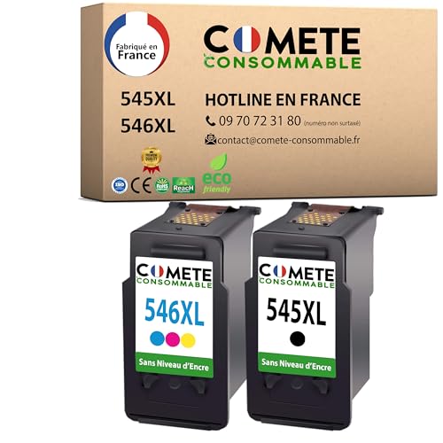 Cartouches PG545 CL546 pour imprimer les dossiers scolaires sur Pixma MG2950