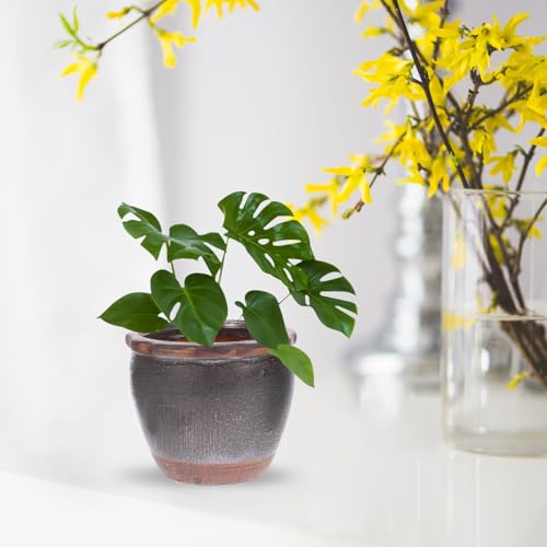 Mini Pots en Céramique Faits pour Durer : Les Jardinières Abaodam Premium - 8