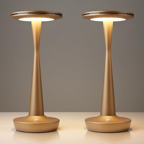 LED Cordless Table Lamp Rechargeable, Battery Powered Outdoor Lights