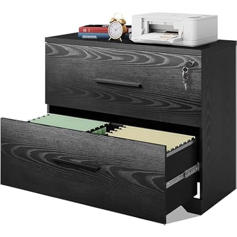 DEVAISE 2-Drawer Wood Lateral File Cabinet for Home Office Cover