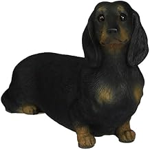Sandicast Mid Size Smooth Black Dachshund Sculpture, Sitting