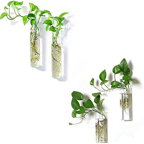 PACDONA 2 Cylindrical Wall Hanging Glass Planter and 2 Rectangle Plant Propagation Station for Indoor Plant Decoration and Display Cover