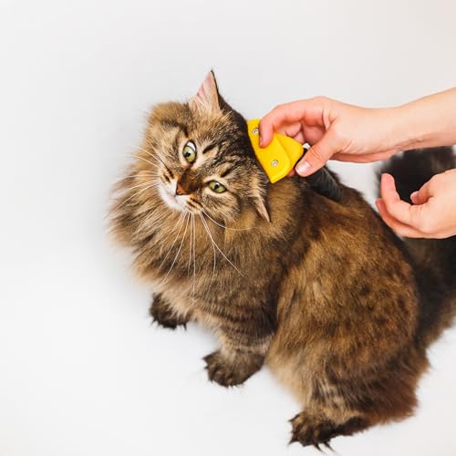 Retoo Brillirare Hundebürste & Katzenbürste für Kurz, Unterwollebürste zur Fellpflege & Haarentfernung, Entfilzende Fellbürste für Große & Kleine Hunde und Katzen, Perfekt für Kurze & Lange Haare