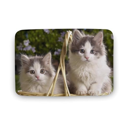 L   oX}bg \tg􂦂 z  փ}bg  O    ~ Aj LN^[ @}bg   ʏ