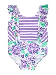 Purple Hydrangea Garden