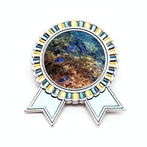 Broche poisson et nature de l'océan coloré, idée cadeau idéale