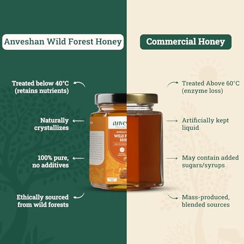 Image of Anveshan Wild Forest Honey 500g | Glass Jar | NMR tested | Raw & Unprocessed | No Added Sugar | Immunity Boosting (Pack of 2)