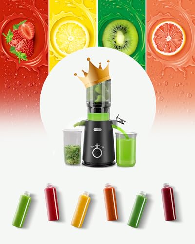 Juicer Machines, ECOSELF Large Feed Chute for Family Needs, Professional Hands Free Cold Press Juicer For Whole Fruits & Vegetables, Self Feeding for Juice Extractor Machine, Easy to Clean