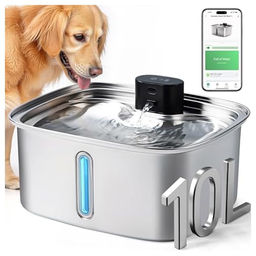 Large Automatic Dog Water Fountain