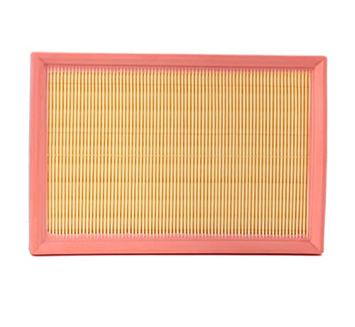 Filtro Aria Automega 180030210