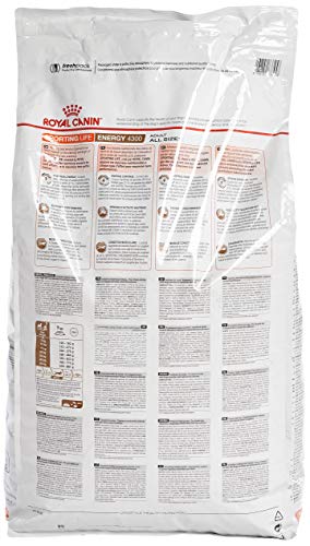 Royal Canin Hundefutter Sport Life Trail 15 kg, 1er Pack (1 x 15 kg)