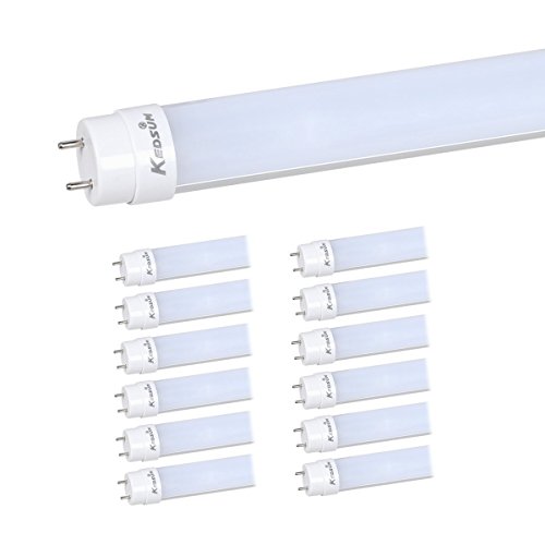 Top 10 Best LED Tube Lights in 2024 Reviews Buyer's Guide