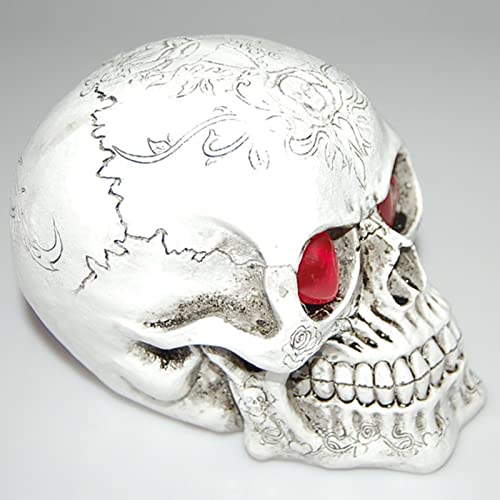 Modelos cráneo hueso humano réplica anatómica para decoración Halloween y estudio 8