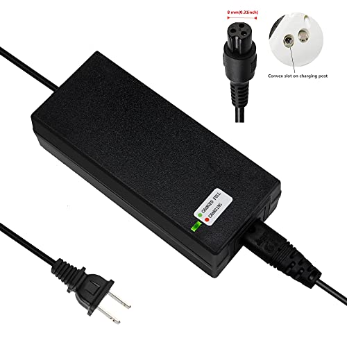 EVAPLUS 42V 2A Fast Charger with 3-Prong 0.31