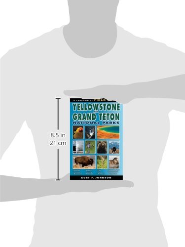 A Field Guide To Yellowstone And Grand Teton National Parks #TOP6