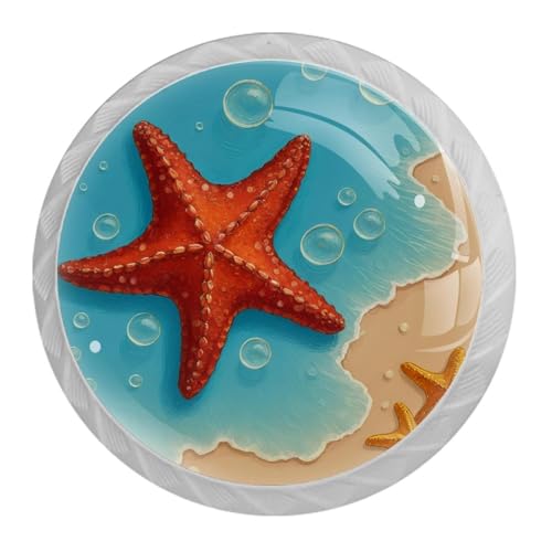 NEWzone 4�p�b�N �z���C�g�L���r�l�b�g�m�u �r�[�`�q�g�f���������o���h���b�T�[�v�� 35mm ���E���h�L���r�l�b�g���� �h���b�T�[/�L�b�`��/�H��I/���[�h���[�u/�N���[�[�b�g�p �l�W�t��