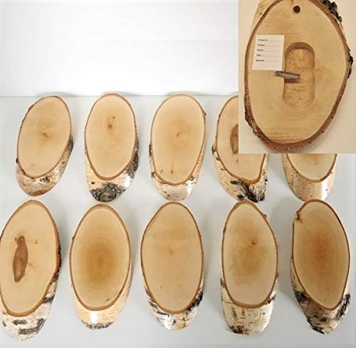 10 carteles de madera de abedul para trofeos con cornamenta, cornamenta, disco de árbol, cartel de madera natural, moderno con compartimento de pino