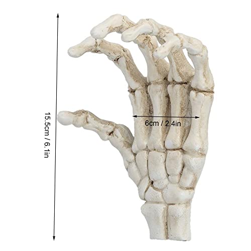 Halloween Decorations - Skeleton Props For Teaching Aids: Lightweight Hard- Aluminum Bone Decor With Ornaments Skeleton Hand Ornaments As Tool Brackets #TOP2