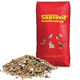 🦜 ARTGERECHT: Unsere sorgfältige Auswahl an Saaten und Körnern sorgt für eine besonders artgerechte, ausgewogene und naturnahe Ernährung der Kleinpapageien.