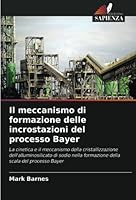 Il meccanismo di formazione delle incrostazioni del processo Bayer: La cinetica e il meccanismo della cristallizzazione dell'alluminosilicato di sodio ... scala del processo Bayer (Italian Edition) 6203705373 Book Cover