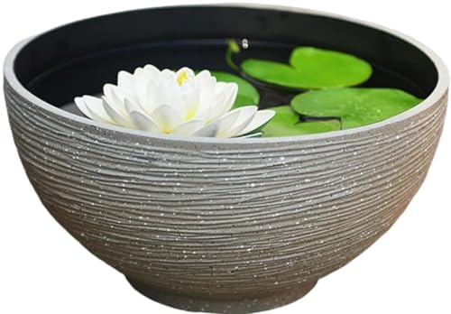 Slystar @  ^ O _Je vX`bN̖͑  ɂ  A  r  甫 rIg[v gM O (Oa35cm×18cm,̐F) [sAi]