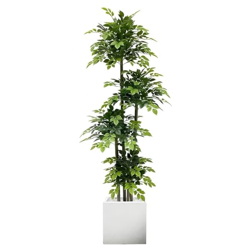 tFCNO[ lHϗtA K̖  ^ 120cm/150cm/180cm/200cm G} bȂ  z[  ItBX CeA (lp^Aؔ,200cm)