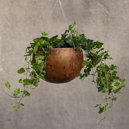 Crocus Collection 25cm Metal Hanging Gourd Bowl Planter Dark Rust No Drainage Holes For Trailing Plants