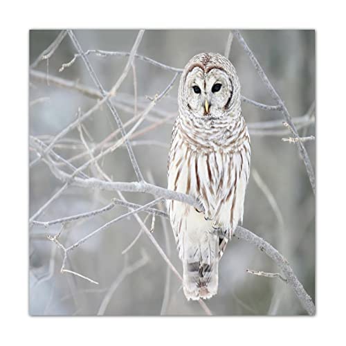 Panneau en bois hibou gris sur l'arbre 40x40 cm pour déco chambre enfant