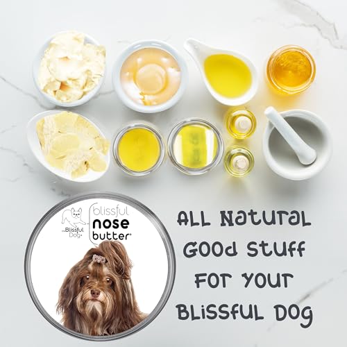 Image of The Blissful Dog Havanese Unscented Nose Butter - Dog Nose Butter, 2 Ounce