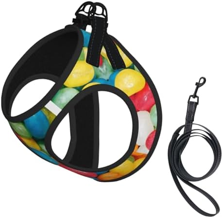 Jelly Bean Candies Colorful No Pull Dog Harness and Leash Set, Cute Reflective Adjustable Vest for Small Dogs,Breathable Mesh Puppy Harness for Walking Hiking,Medium