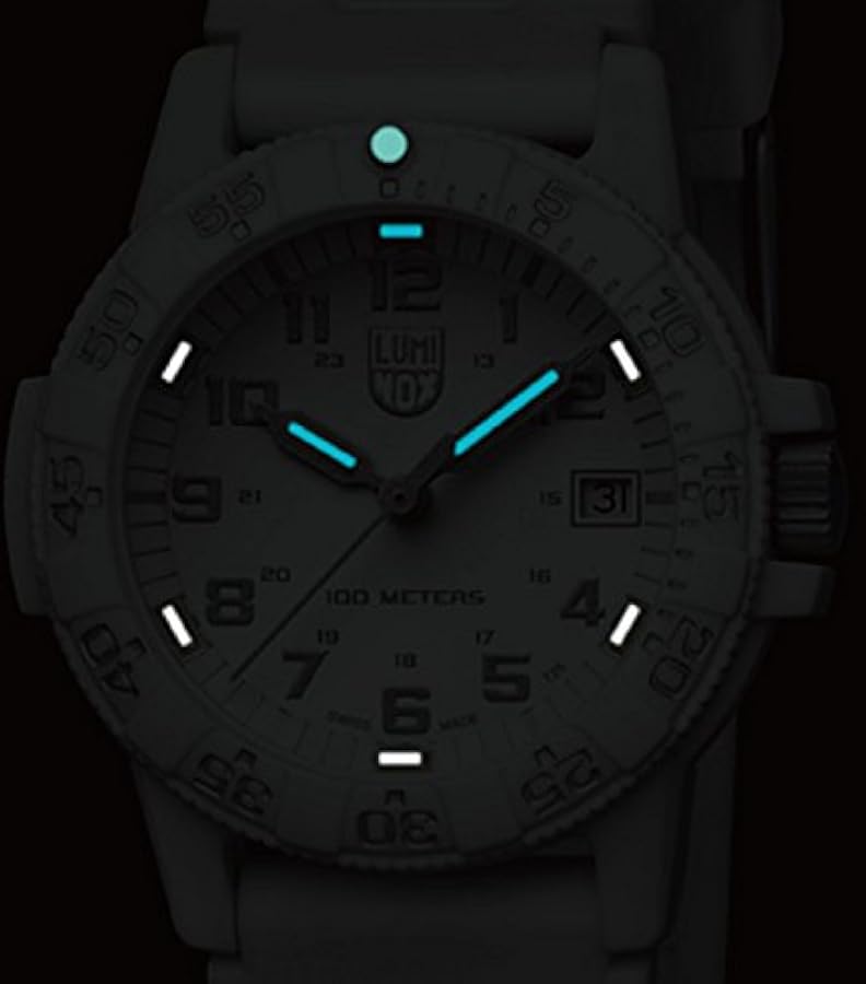 時計 LuminoX Ref.0307 WO LEATHERBACK SEA TURTLE 0300 SERIES Ref.0307 WO | Luminox