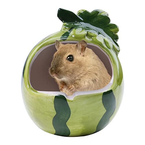 鳥 小動物用ペットグッズ ハムスター ハウス 陶器 その他鳥 小動物用ペットグッズの人気商品 通販 価格比較 価格 Com