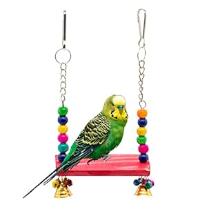 GREENBIRDS Toys Playful & Interactive Wooden Perch Swing Colorful Natural Parrot Toys Cage Accessories Resting Toy Wooden Training Aid for Love Birds, Budgies Small & Medium Bird & Parrots