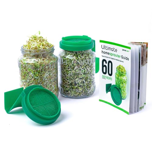 Image of sprout-me Multi Use Sprouts Maker Box With Recepie Book-Glass Mason Jar With Mesh Lid For All Seeds & Beans,with Built in Drainage Stand (Set Of 2 Sprout Jar With Book),Transparent & Green