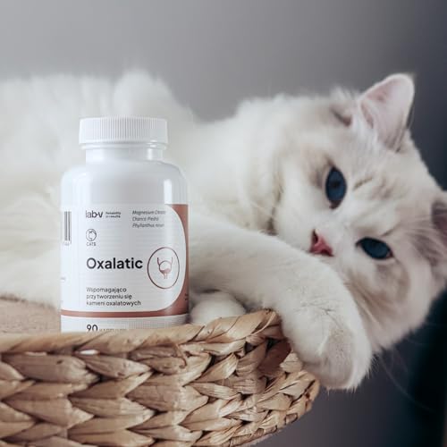 Lab-V Oxalatic für Katzen – Ergänzungsfuttermittel zur Unterstützung bei Calciumoxalatsteinen – 90 Kapseln – ohne künstliche Zusatzstoffe – leicht zu verabreichen