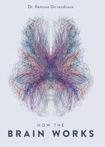 How the brain works: Frequently asked questions answered by a